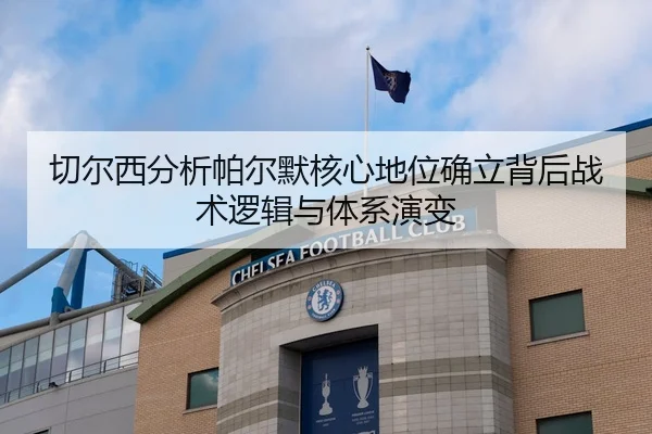 切尔西分析帕尔默核心地位确立背后战术逻辑与体系演变